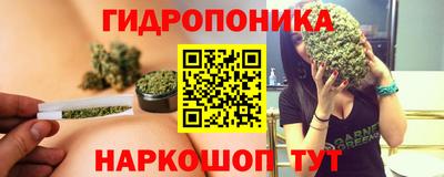 шишки Гусиноозёрск